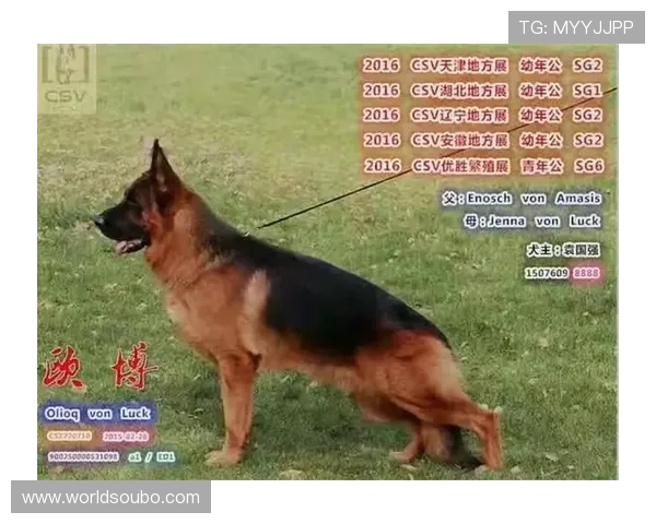 欧博代理平台官网入口：欧博代理官方入口的详细介绍与使用技巧分享