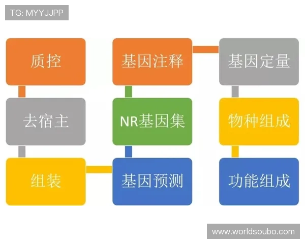 欧博官方网上登录安全指南及操作流程详解