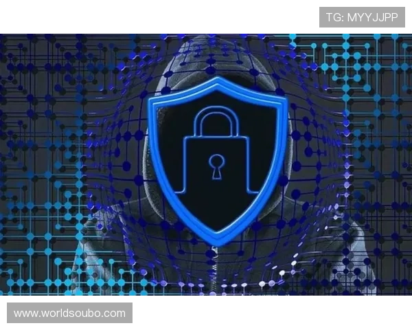 欧博官网入口安全漏洞检测与修复的最佳实践分享