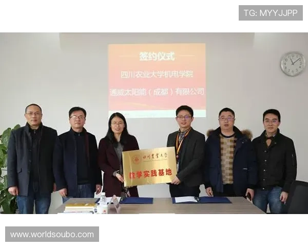 欧博正网一比一合作常见问题解答解决用户在合作过程中遇到的疑难问题